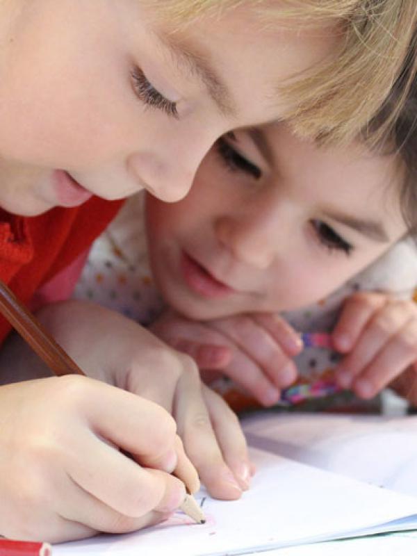 Interior Design Options